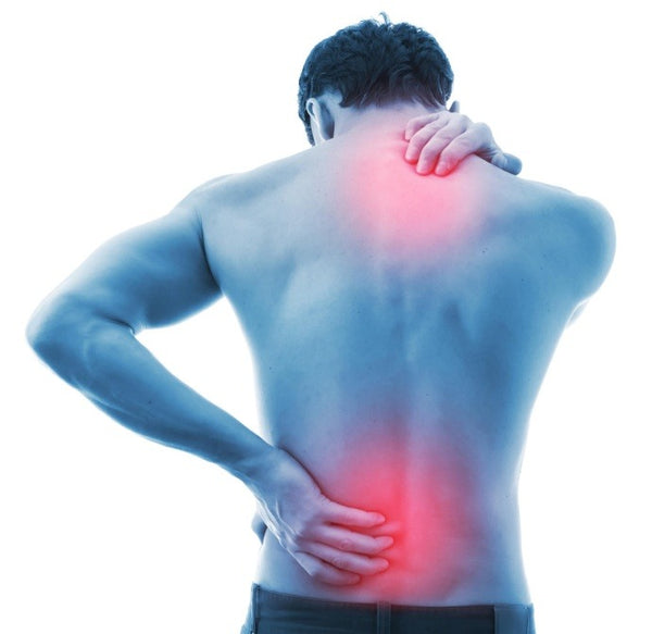 Seven Ways Truck Drivers Can Beat Back Pain