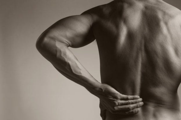 Five Tips to Prevent Long-Term Back Pain in Truckers