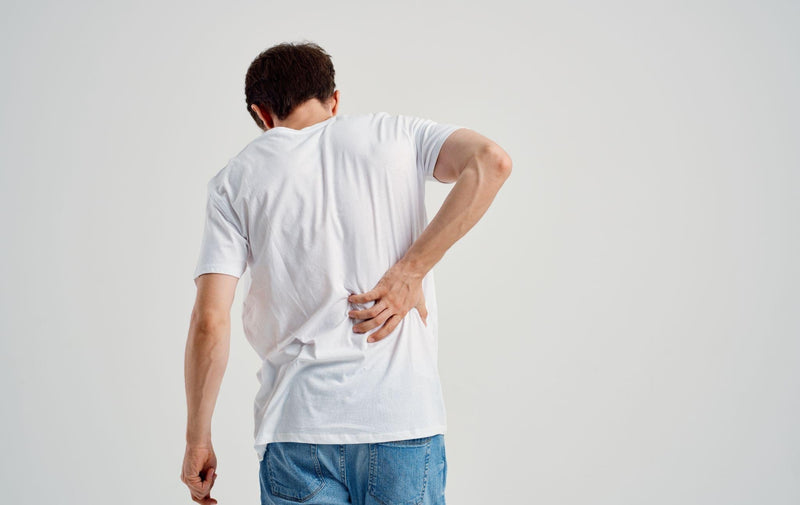 Truck driver with back pain caused by whole-body vibration